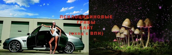 трава Костерёво