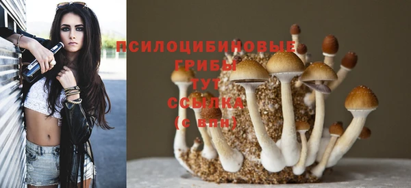 мескалин Корсаков