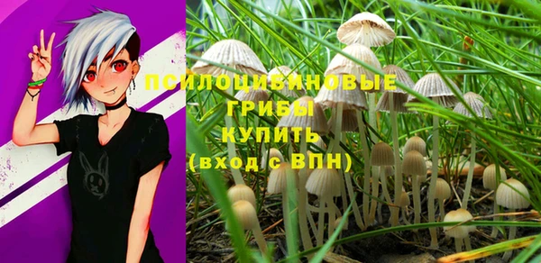 мескалин Корсаков