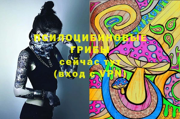меф Коряжма