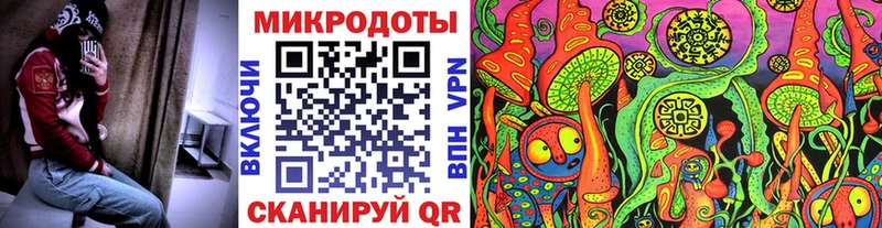 Купить Богучар Псилоцибиновые грибы GOLDEN TEACHER
